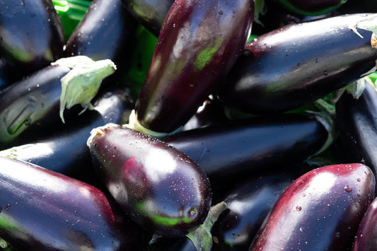 Eggplant - Black Beauty