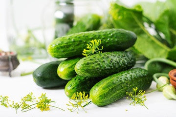 Cucumber - Pickling