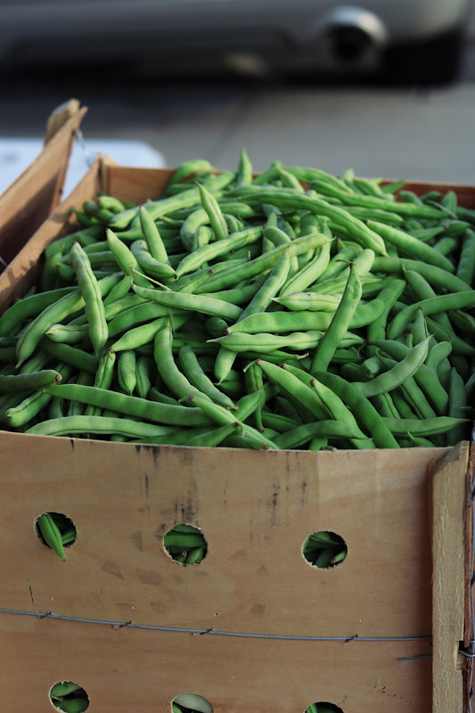 Green Bean - Slenderette